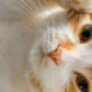 ヒメ日記 2025/01/04 22:38 投稿 久城朝香 五十路マダム愛されたい熟女たち 津山店