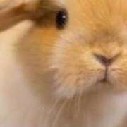 ヒメ日記 2025/01/11 01:22 投稿 久城朝香 五十路マダム愛されたい熟女たち 津山店