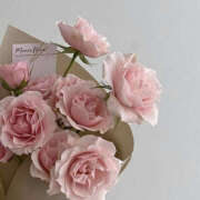 ヒメ日記 2024/12/19 19:48 投稿 うみ 治療院.LOVE小山店