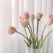 ヒメ日記 2024/12/19 20:06 投稿 うみ 治療院.LOVE小山店