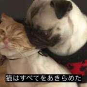 ヒメ日記 2025/07/16 13:19 投稿 すず 川崎ソープ　クリスタル京都南町