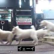 ヒメ日記 2025/07/16 21:17 投稿 すず 川崎ソープ　クリスタル京都南町