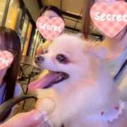 ヒメ日記 2025/07/30 22:12 投稿 美羽 the SPA KADOEBI