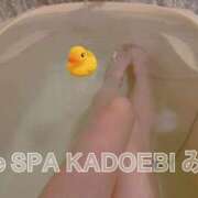 ヒメ日記 2026/03/26 07:16 投稿 美羽 the SPA KADOEBI