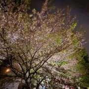 ヒメ日記 2026/04/17 11:49 投稿 美羽 the SPA KADOEBI