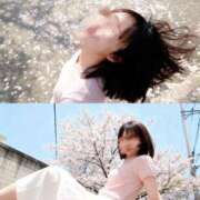 ヒメ日記 2026/04/20 11:42 投稿 美羽 the SPA KADOEBI