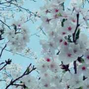 ヒメ日記 2025/04/02 11:48 投稿 小夜香(さやか) 八王子人妻城