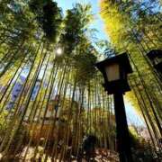 ヒメ日記 2025/03/01 13:41 投稿 れいな 渋谷蘭の会