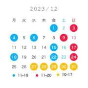 ヒメ日記 2023/12/08 21:03 投稿 本庄　みか セレブクィーン