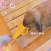 ヒメ日記 2025/06/20 18:06 投稿 よしの 大阪回春性感エステティーク谷九店