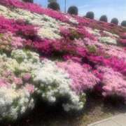 ヒメ日記 2025/05/04 09:31 投稿 まどか 人妻美人館