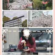 ヒメ日記 2026/04/02 10:40 投稿 【熟女】あきこ 人妻華道－上田店