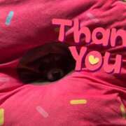 ヒメ日記 2025/04/10 05:04 投稿 由紀 セクシーキャット 小田原店