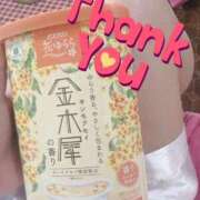 ヒメ日記 2025/04/15 14:56 投稿 由紀 セクシーキャット 小田原店