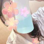 ヒメ日記 2025/07/02 10:59 投稿 由紀 セクシーキャット 小田原店