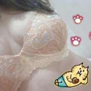 ヒメ日記 2025/08/13 17:15 投稿 由紀 セクシーキャット 小田原店