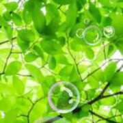 ヒメ日記 2025/12/22 10:50 投稿 由紀 セクシーキャット 小田原店