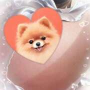 ヒメ日記 2026/01/26 13:01 投稿 由紀 セクシーキャット 小田原店