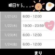 ヒメ日記 2025/01/20 08:17 投稿 まり リッチドールフェミニン