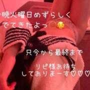 ヒメ日記 2025/12/09 19:30 投稿 まり リッチドールフェミニン