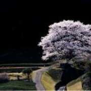 ヒメ日記 2025/04/16 10:10 投稿 まき 逢って30秒で即尺