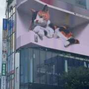 ヒメ日記 2025/09/03 11:59 投稿 まき 逢って30秒で即尺