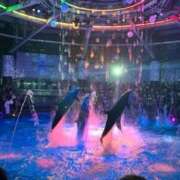 ヒメ日記 2025/09/08 12:53 投稿 まき 逢って30秒で即尺