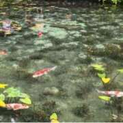 ヒメ日記 2025/09/18 12:21 投稿 まき 逢って30秒で即尺