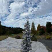 ヒメ日記 2025/11/18 12:50 投稿 まき 逢って30秒で即尺