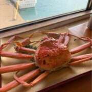 ヒメ日記 2026/01/19 14:27 投稿 まき 逢って30秒で即尺