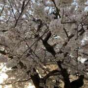 まき ?春爛漫? 逢って30秒で即尺