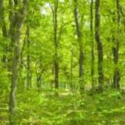 ヒメ日記 2025/05/06 14:41 投稿 ふみな フィーリング