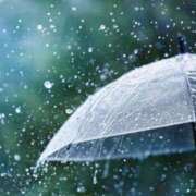 ヒメ日記 2025/06/10 17:09 投稿 ふみな フィーリング