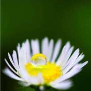 ヒメ日記 2025/07/14 14:28 投稿 ふみな フィーリング