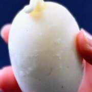 ヒメ日記 2025/08/13 11:25 投稿 ふみな フィーリング