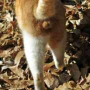 ヒメ日記 2025/06/03 11:34 投稿 遼子(りょうこ) 可憐な妻たち 高崎店