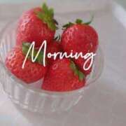 ヒメ日記 2025/04/01 11:48 投稿 上原亜希子 プレジデントハウス