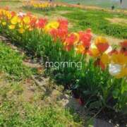 ヒメ日記 2025/04/17 11:24 投稿 上原亜希子 プレジデントハウス