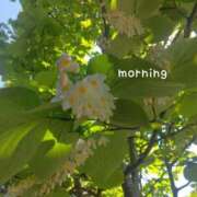 ヒメ日記 2025/05/07 11:16 投稿 上原亜希子 プレジデントハウス