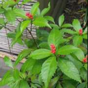 ヒメ日記 2025/11/07 11:28 投稿 上原亜希子 プレジデントハウス