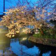 ヒメ日記 2025/04/14 19:33 投稿 芳佳(よしか) 可憐な妻たち 高崎店