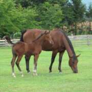 ヒメ日記 2024/12/19 23:32 投稿 りりか One More奥様　八王子店