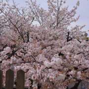 ヒメ日記 2025/04/28 23:00 投稿 アリサ Juicy＋(ユメオト)