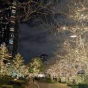 ヒメ日記 2024/12/19 10:27 投稿 凜音★ プリマドンナ