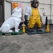 ヒメ日記 2025/07/12 08:51 投稿 凜音★ プリマドンナ