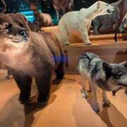 ヒメ日記 2025/10/27 09:17 投稿 凜音★ プリマドンナ