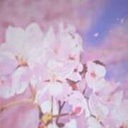 凜音★ 3月のお礼📷 プリマドンナ