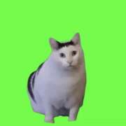 ヒメ日記 2025/02/26 16:32 投稿 ひなみ 全裸の女神orいたずら痴漢電車