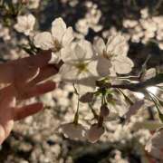 ヒメ日記 2025/03/30 15:38 投稿 ひなみ 全裸の女神orいたずら痴漢電車