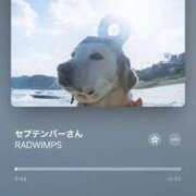 ヒメ日記 2025/09/07 12:58 投稿 ひなみ 全裸の女神orいたずら痴漢電車